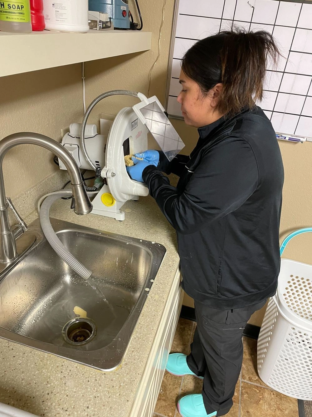 {{ school.name }} student examining a dental mold in the lab {{ school.name }} student examining a dental mold in the lab